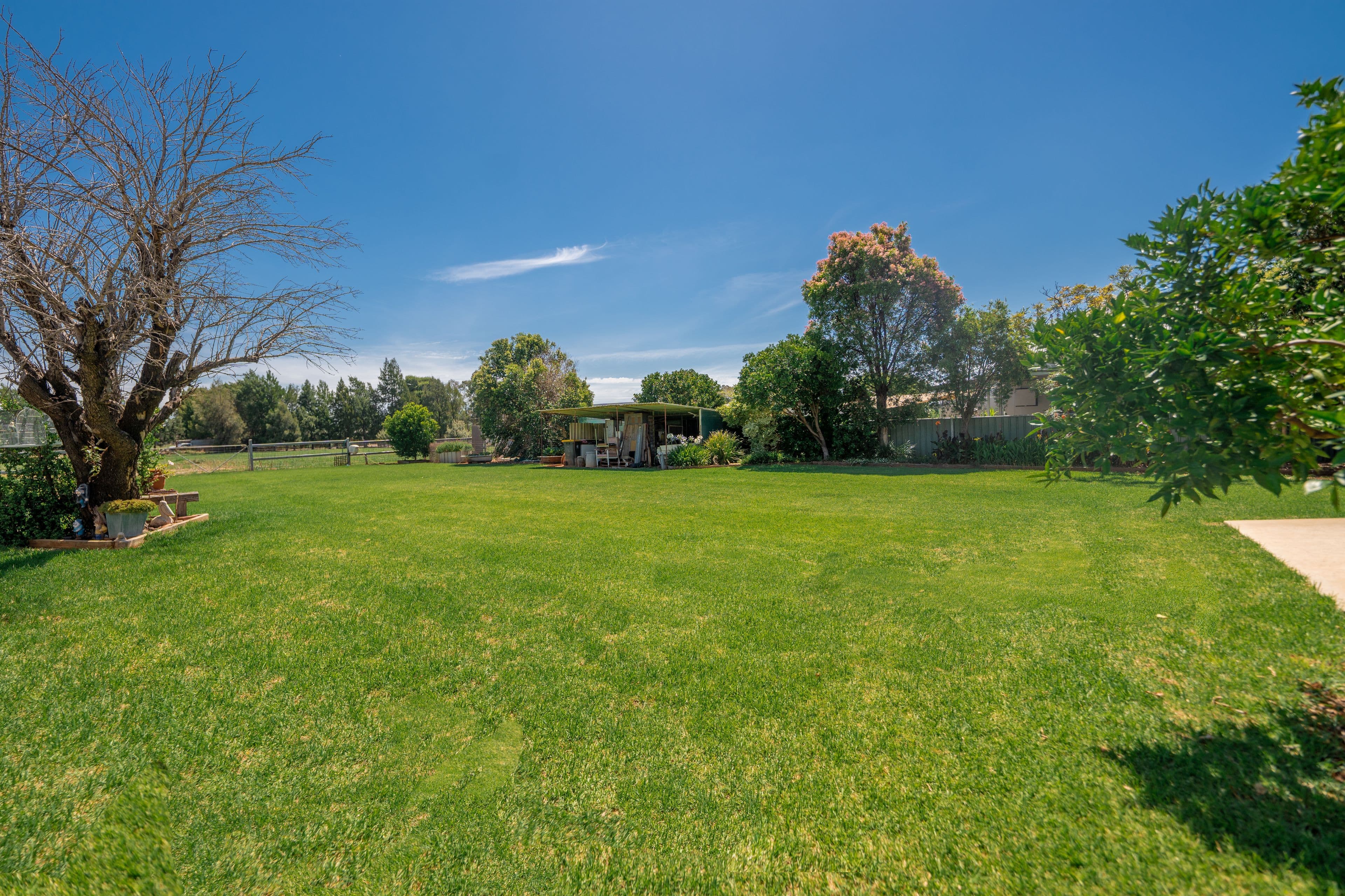 3 Dunns Lane, Parkes NSW 2870, Parkes - Thumbnail 6
