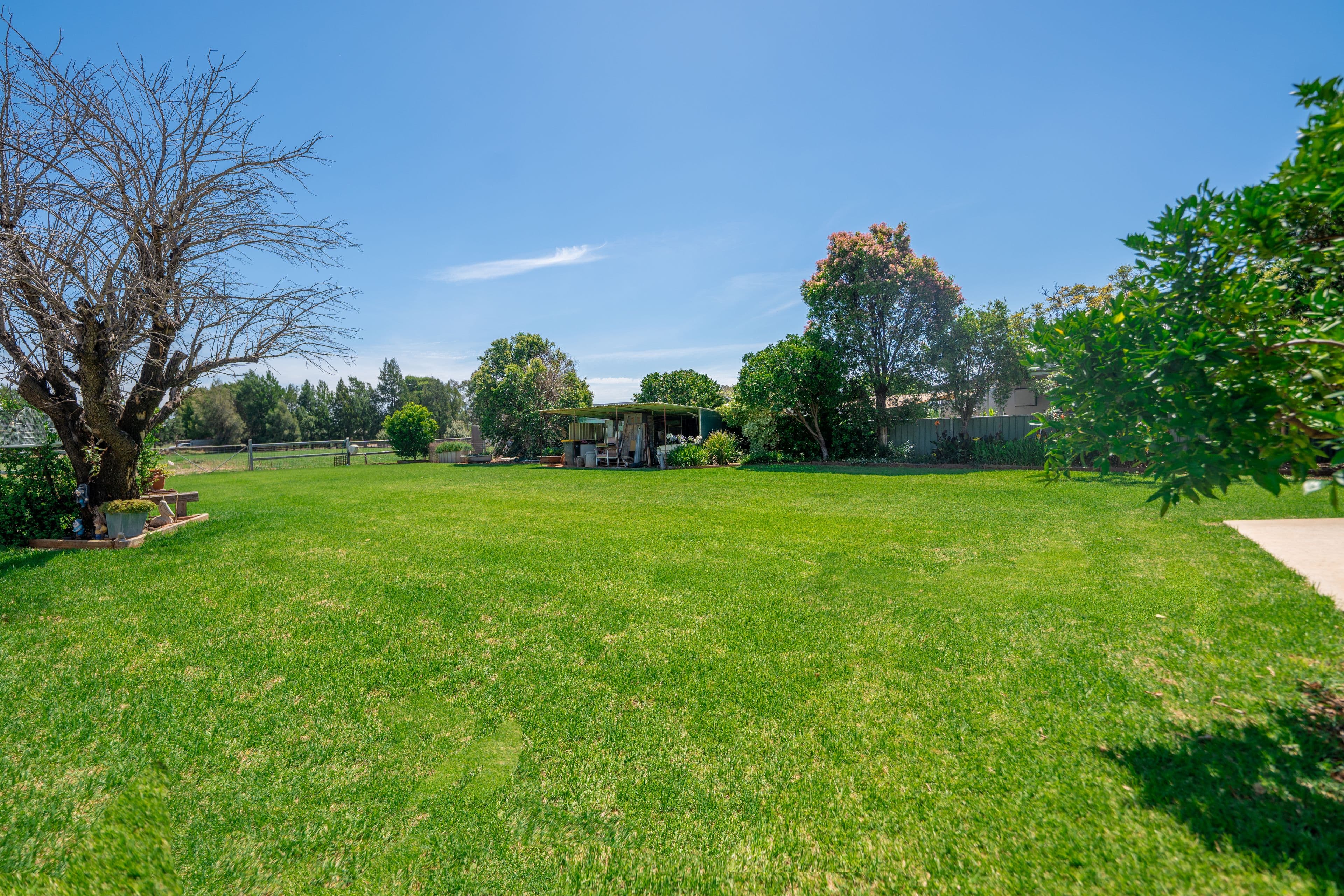 3 Dunns Lane, Parkes NSW 2870, Parkes - Thumbnail 7