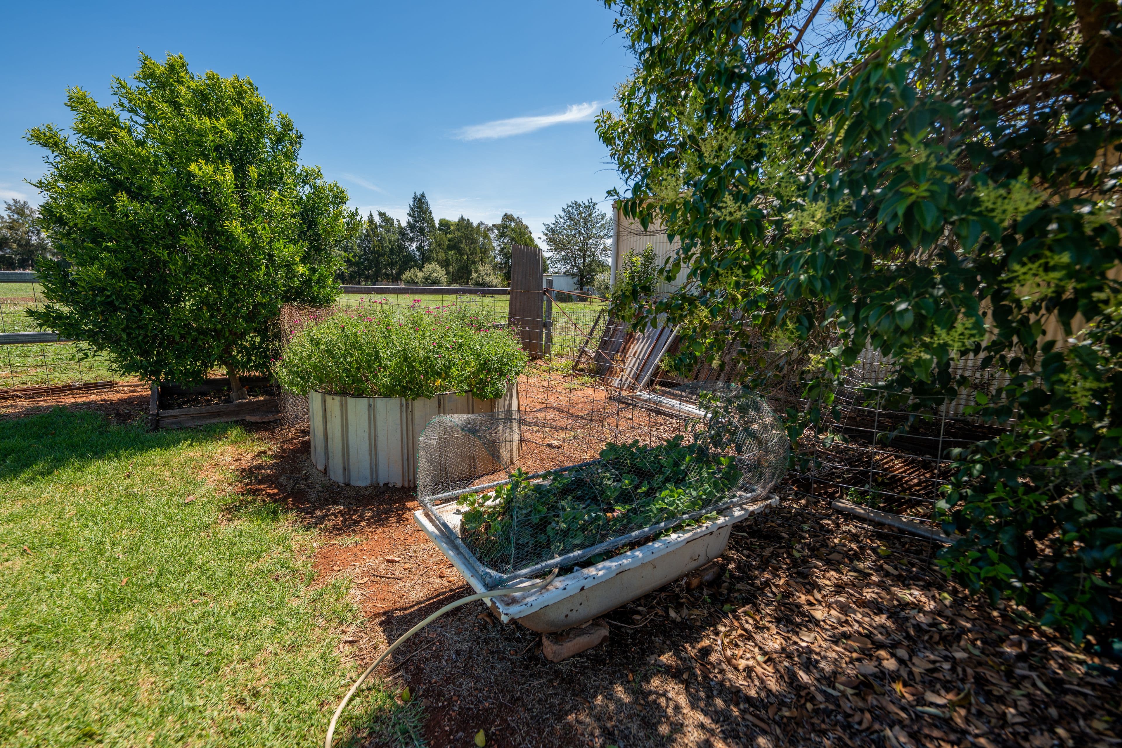 3 Dunns Lane, Parkes NSW 2870, Parkes - Thumbnail 8