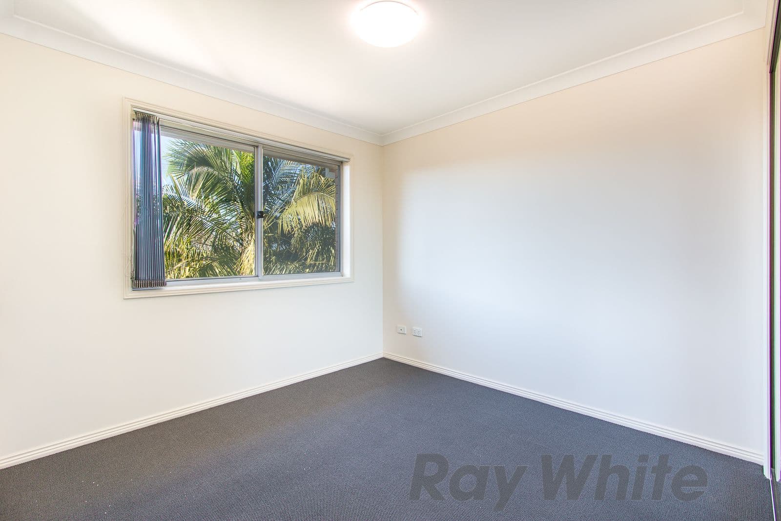 28 Mulbinga Street, Charlestown NSW 2290, Charlestown - Thumbnail 8