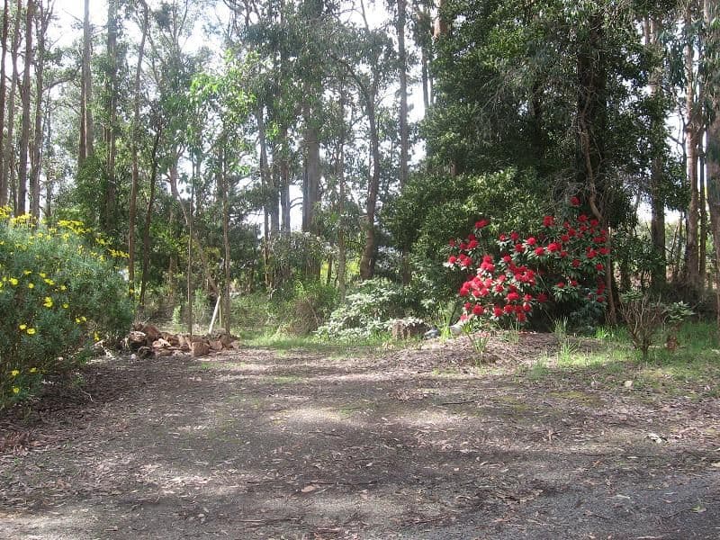 2 Windana Court, KINGLAKE WEST VIC 3757, Kinglake West - Thumbnail 2