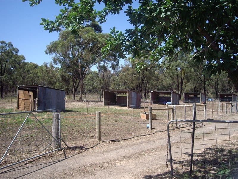 978  Nagambie Rushworth Road, NAGAMBIE VIC 3608, Nagambie - Thumbnail 6