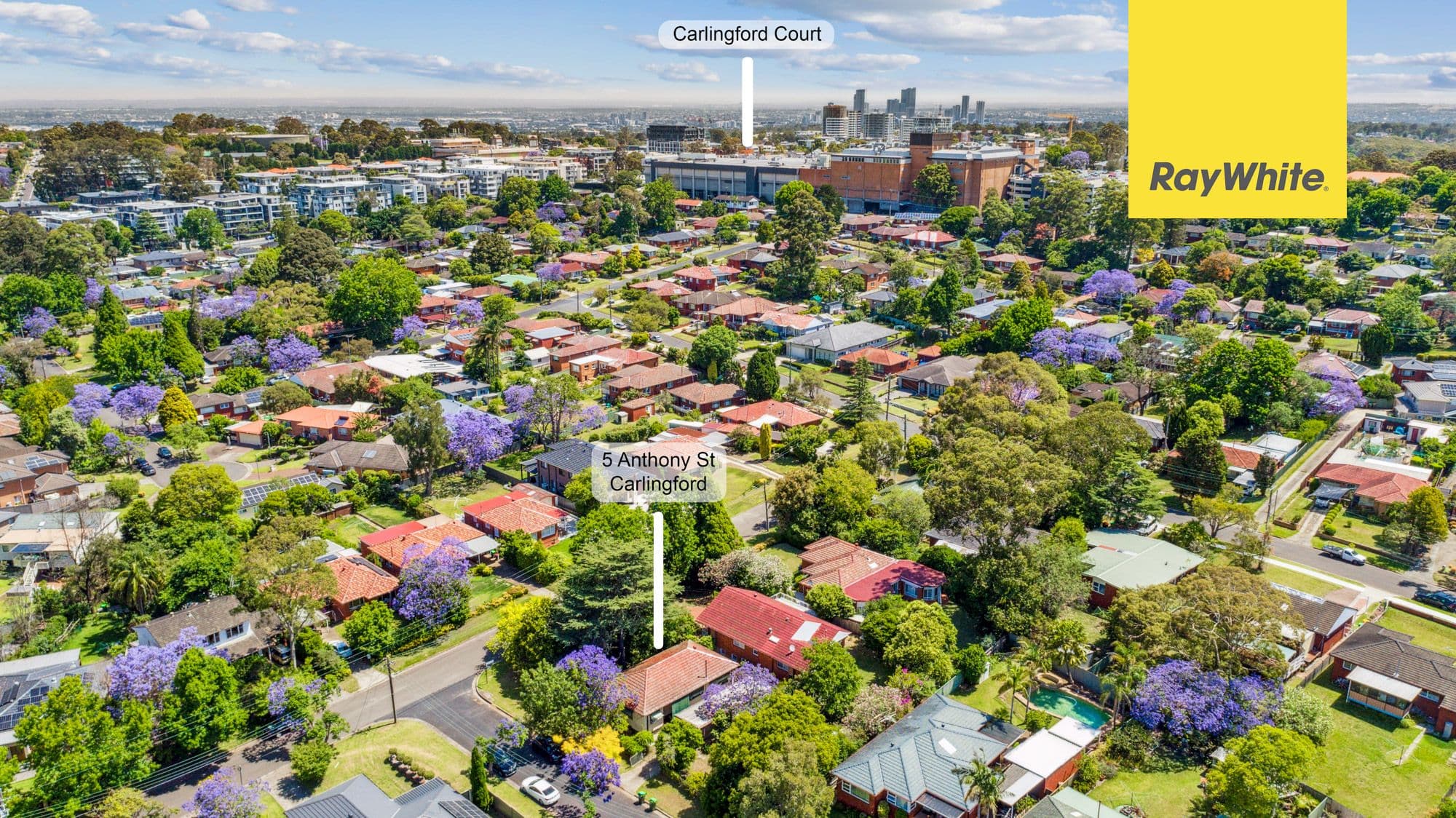 5 Anthony Street, Carlingford NSW 2118, Carlingford - Thumbnail 2