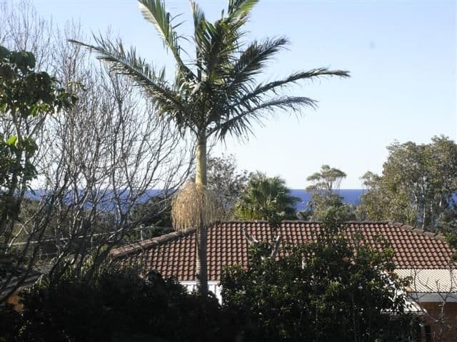 62 Riverside Drive, KIAMA DOWNS NSW 2533, Kiama Downs - Image 1