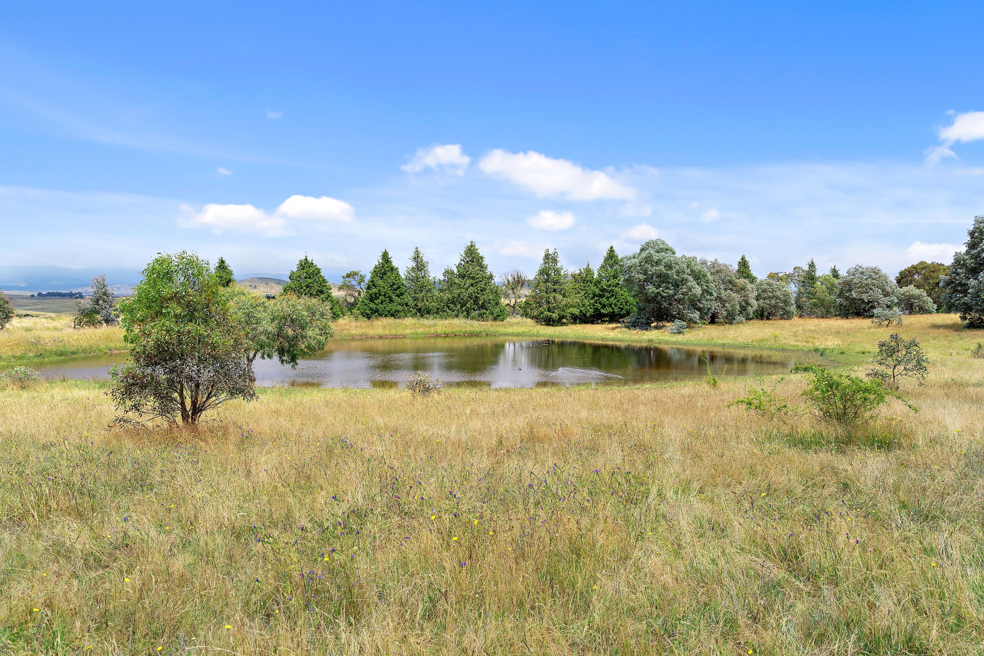 139 Gooromon Ponds Road, Wallaroo NSW 2618, Wallaroo - Thumbnail 8