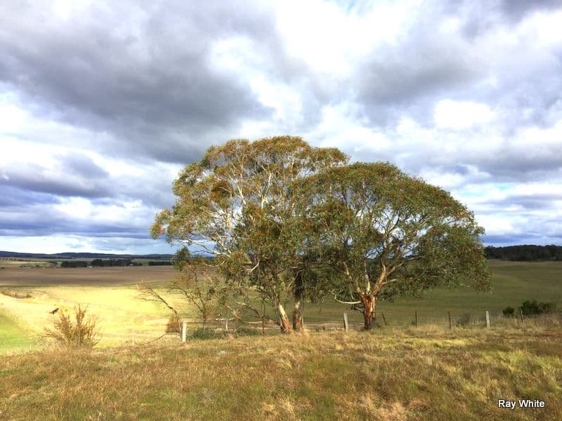 Lot 4 Lime Street, Tarago NSW 2580, Tarago - Thumbnail 5