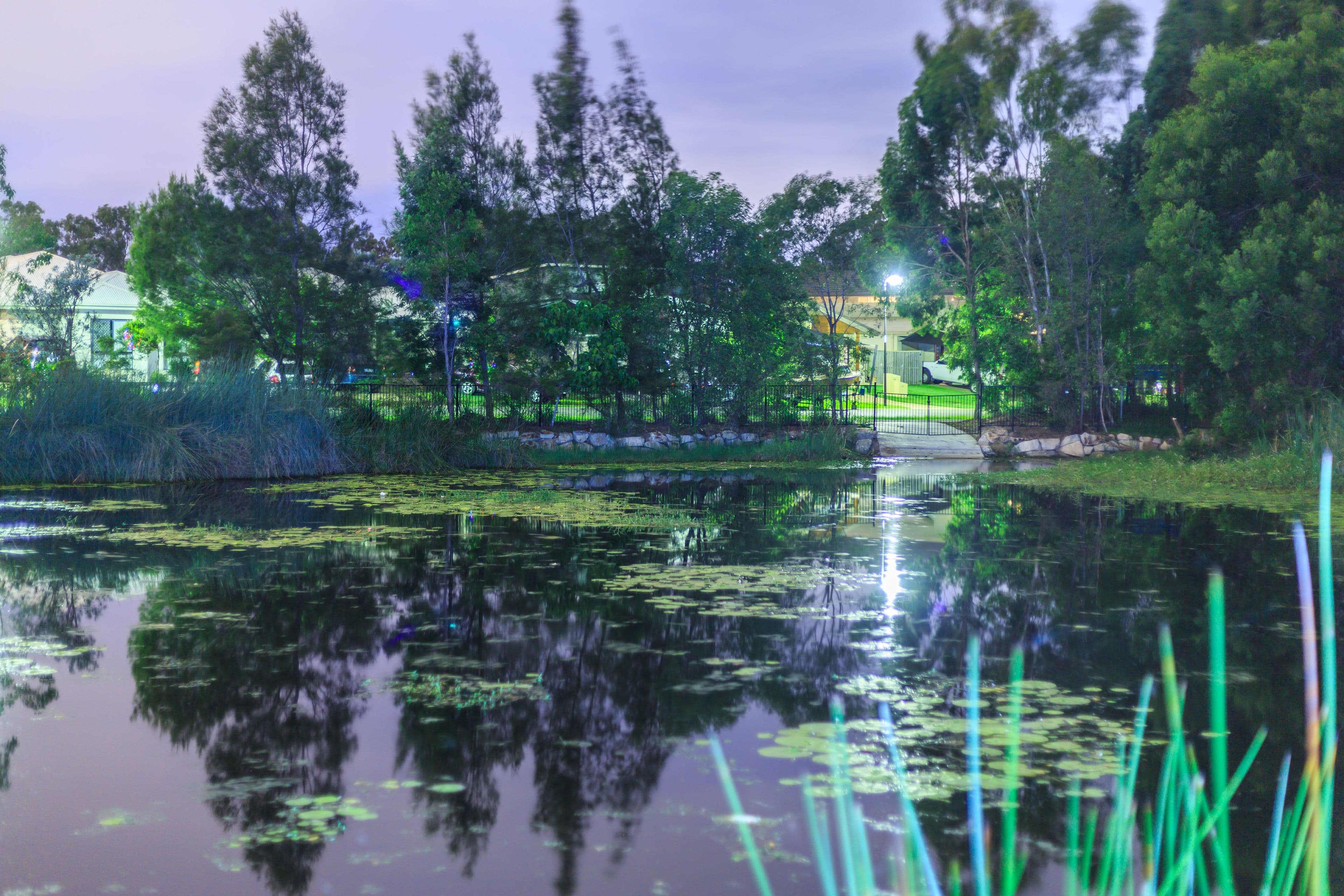 36 Wings Road, Upper Coomera QLD 4209, Upper Coomera - Thumbnail 5