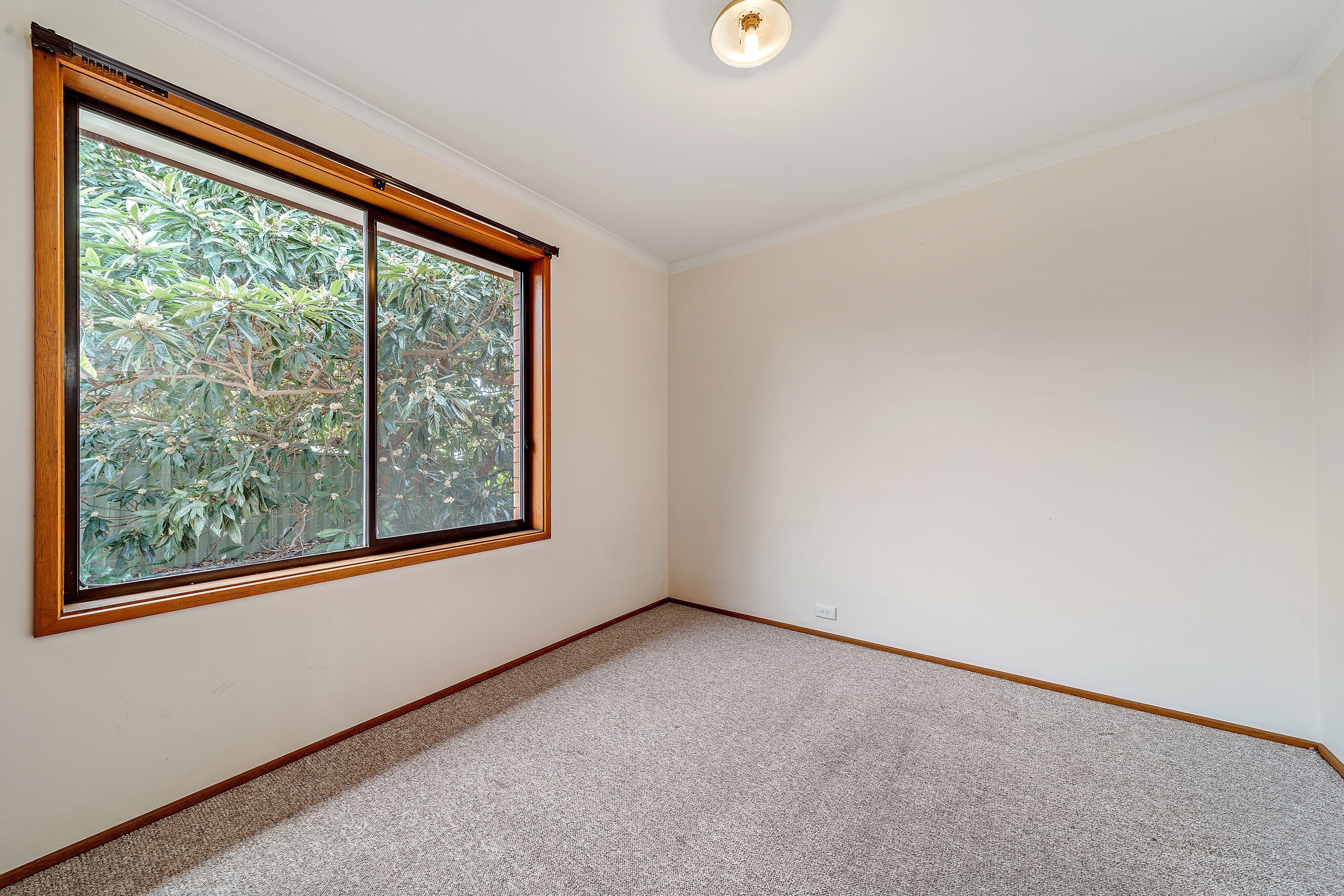 8 Monson Place, McKellar ACT 2617, McKellar - Thumbnail 8