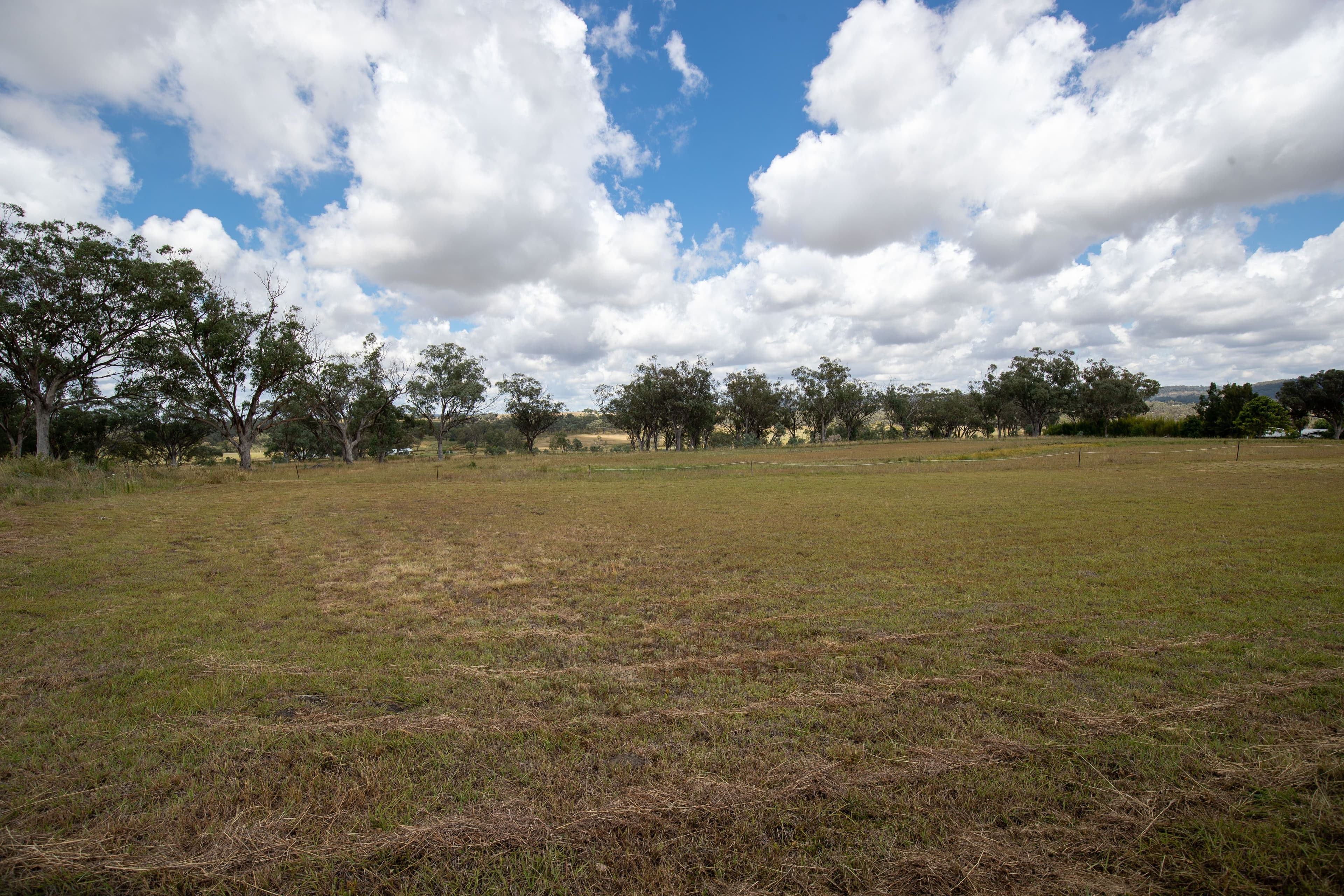 386 Old Bundarra Road, Inverell NSW 2360, Inverell - Thumbnail 6