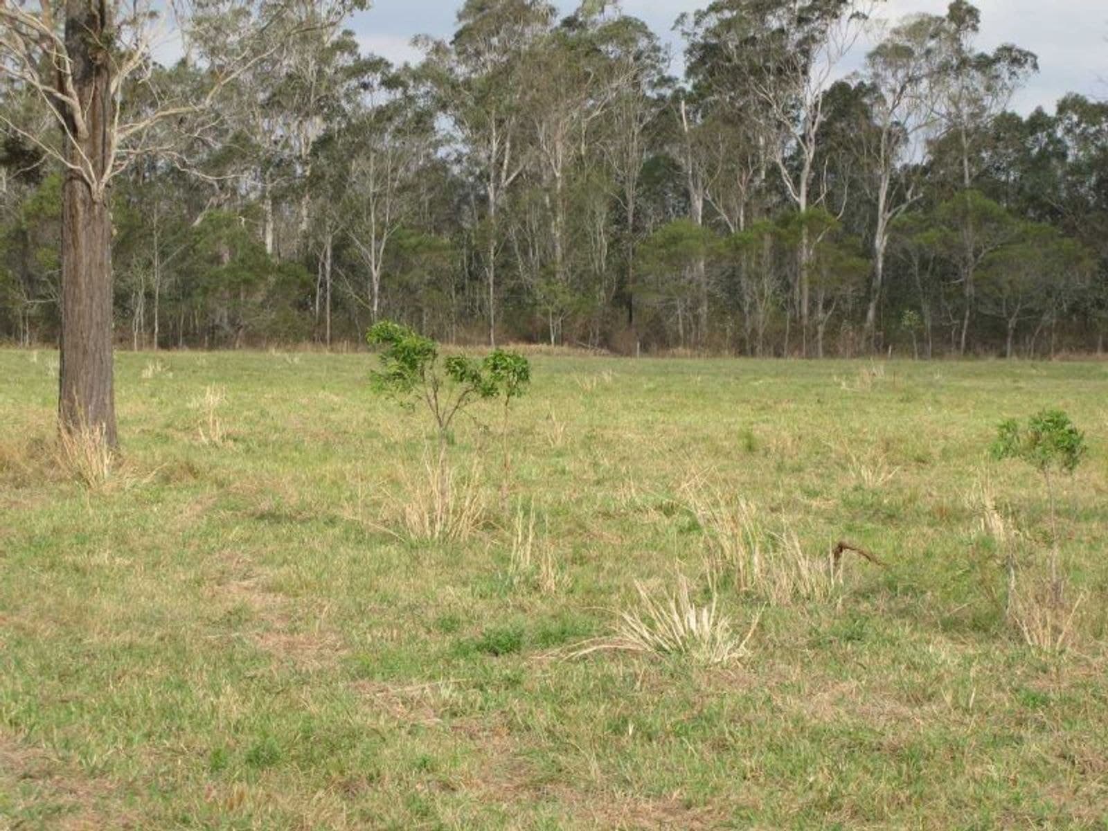 Elseworth Summerland Way NSW 2469, Elseworth Summerland Way - Thumbnail 5