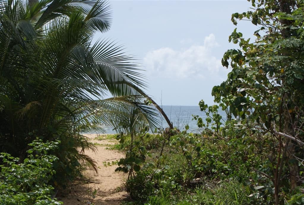 37 Koda Street, WONGALING BEACH QLD 4852, Wongaling Beach - Thumbnail 4