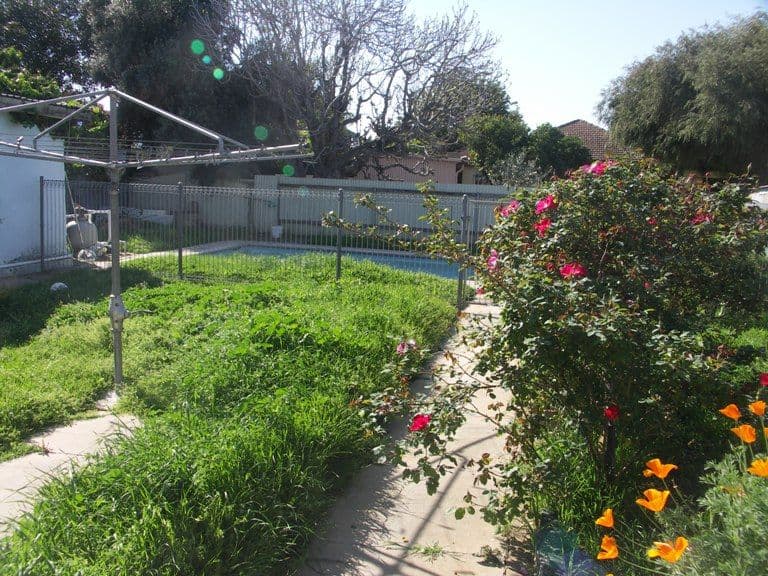 22 Flinders Parade, FLINDERS PARK SA 5025, Flinders Park - Thumbnail 7