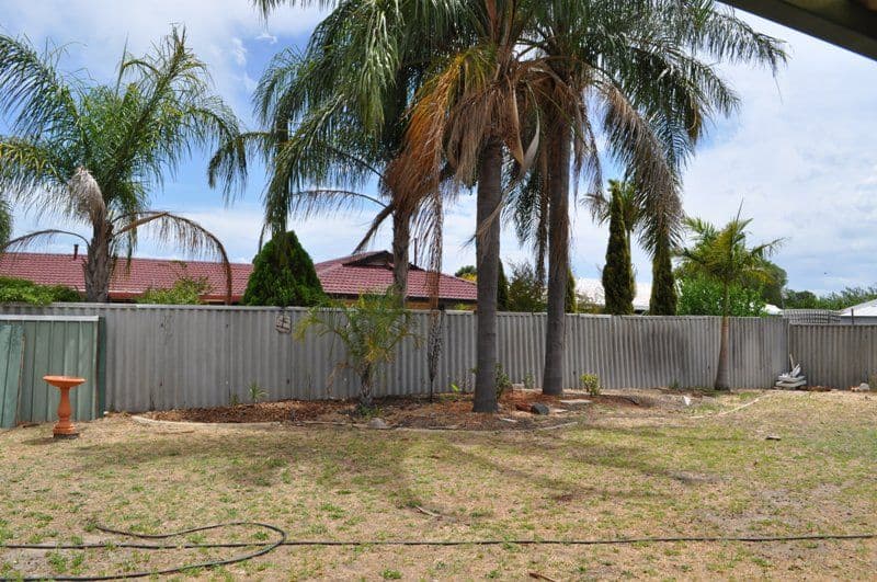 22 Teak Way, Maddington WA 6109, Maddington - Thumbnail 4
