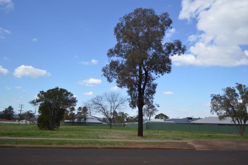 62 Linda Drive, DUBBO NSW 2830, Dubbo - Image 1