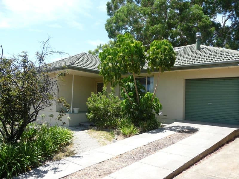 367 Hancock Road, FAIRVIEW PARK SA 5126, Fairview Park - Thumbnail 3