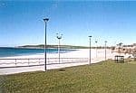 81 Broome Street, MAROUBRA NSW 2035, Maroubra - Thumbnail 6