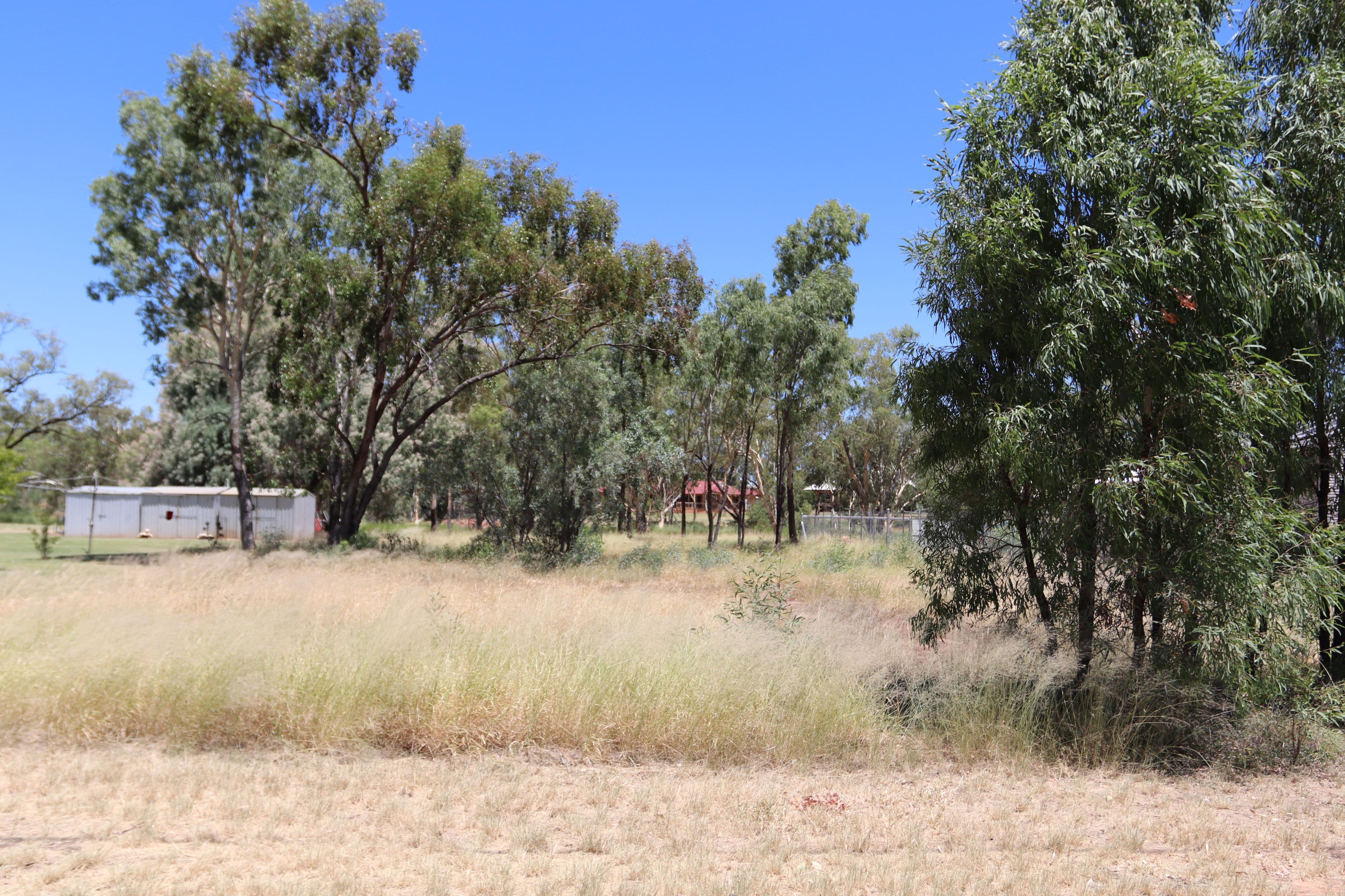 Lot 41 Burcher Street, Charleville QLD 4470, Charleville - Image 1
