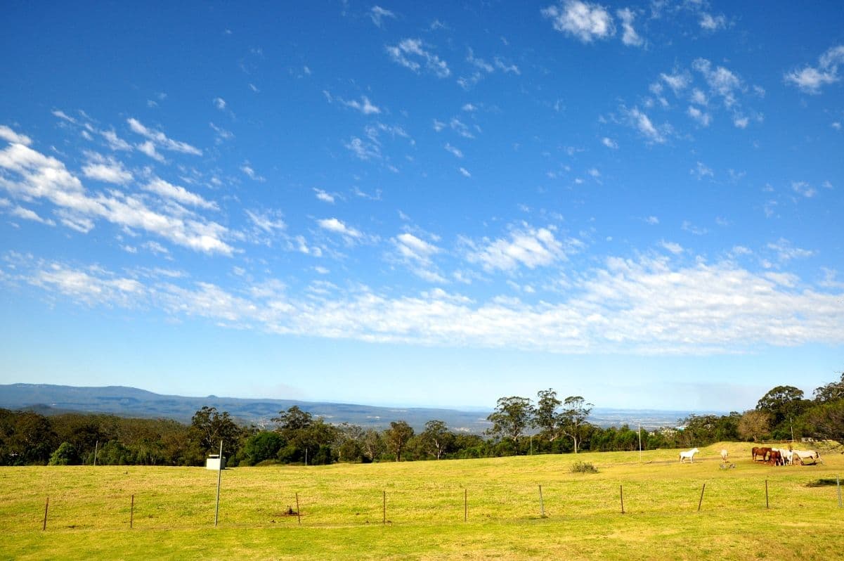41 Martini Street, MOUNT LOFTY QLD 4350, Mount Lofty - Thumbnail 2