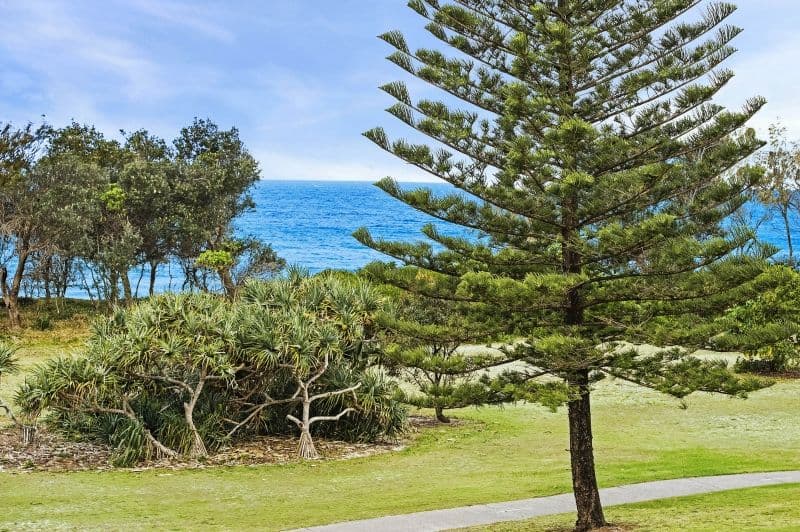212 Marine Parade, Kingscliff NSW 2487, Kingscliff - Thumbnail 2