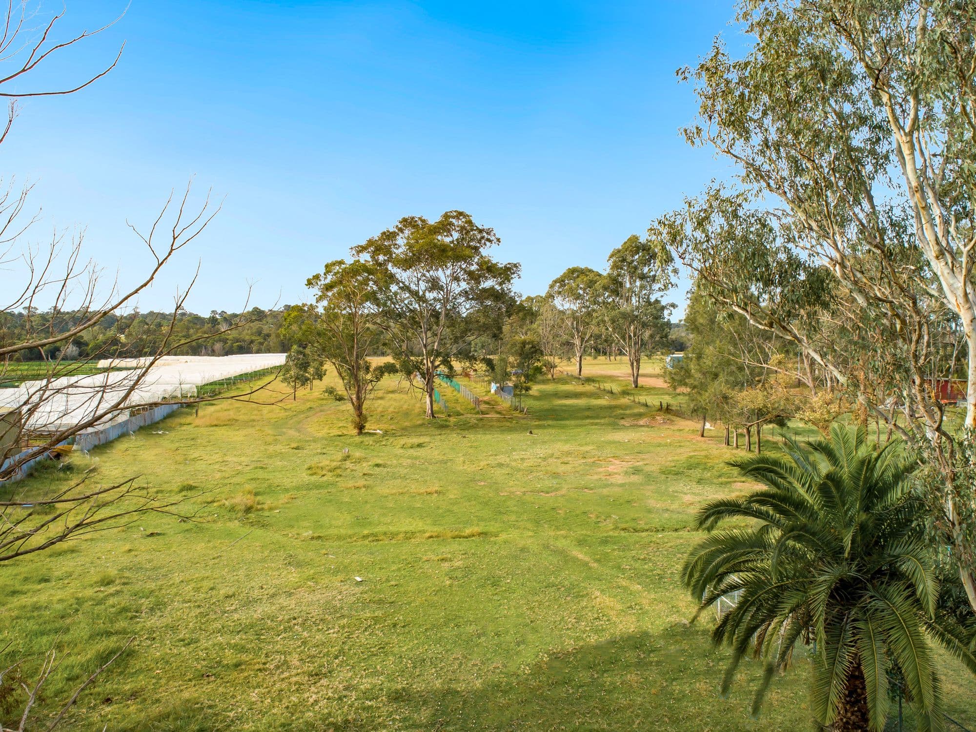 Catherine Field NSW 2557, Catherine Field - Thumbnail 5