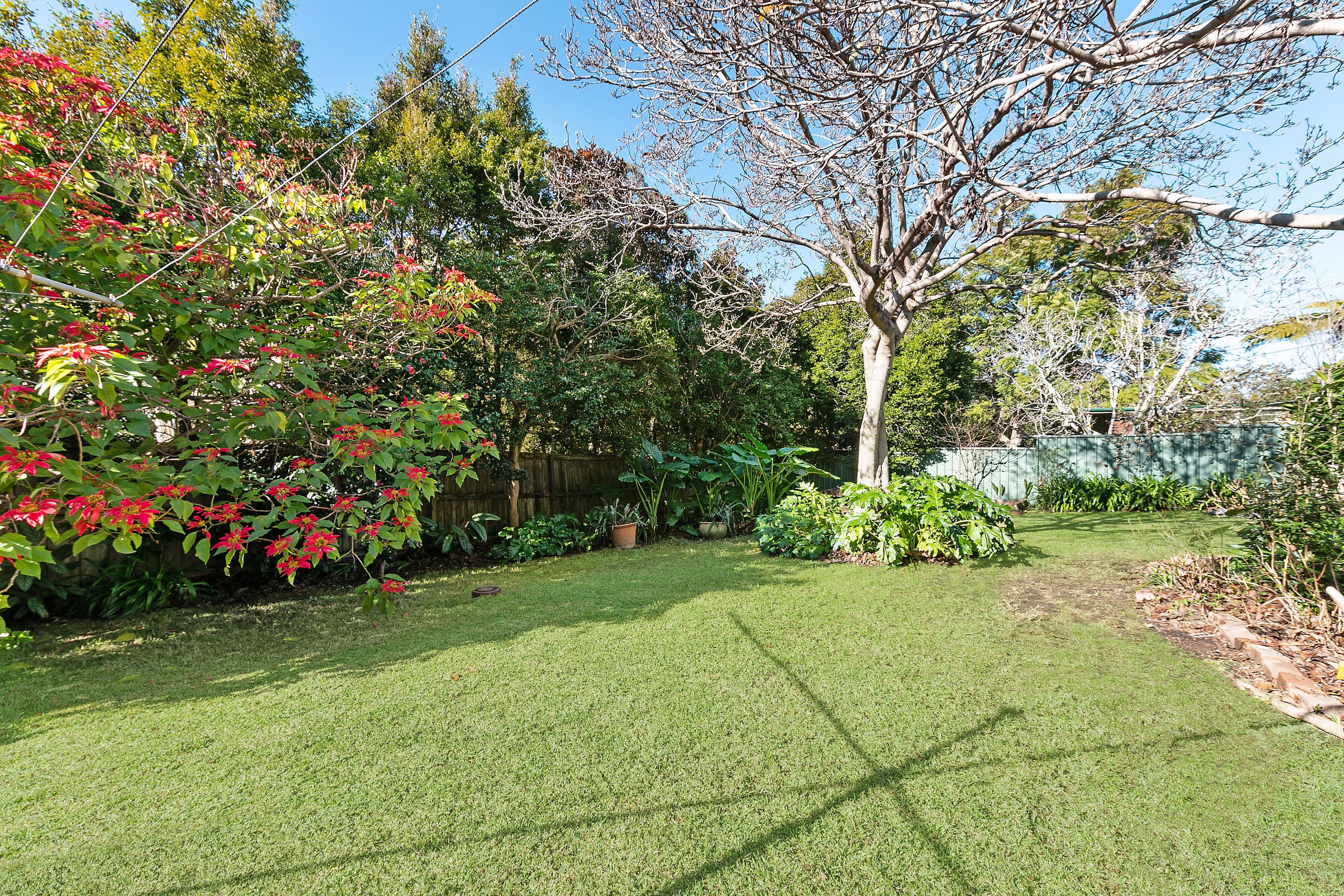 356 Corndale Road, Corndale - Thumbnail 6