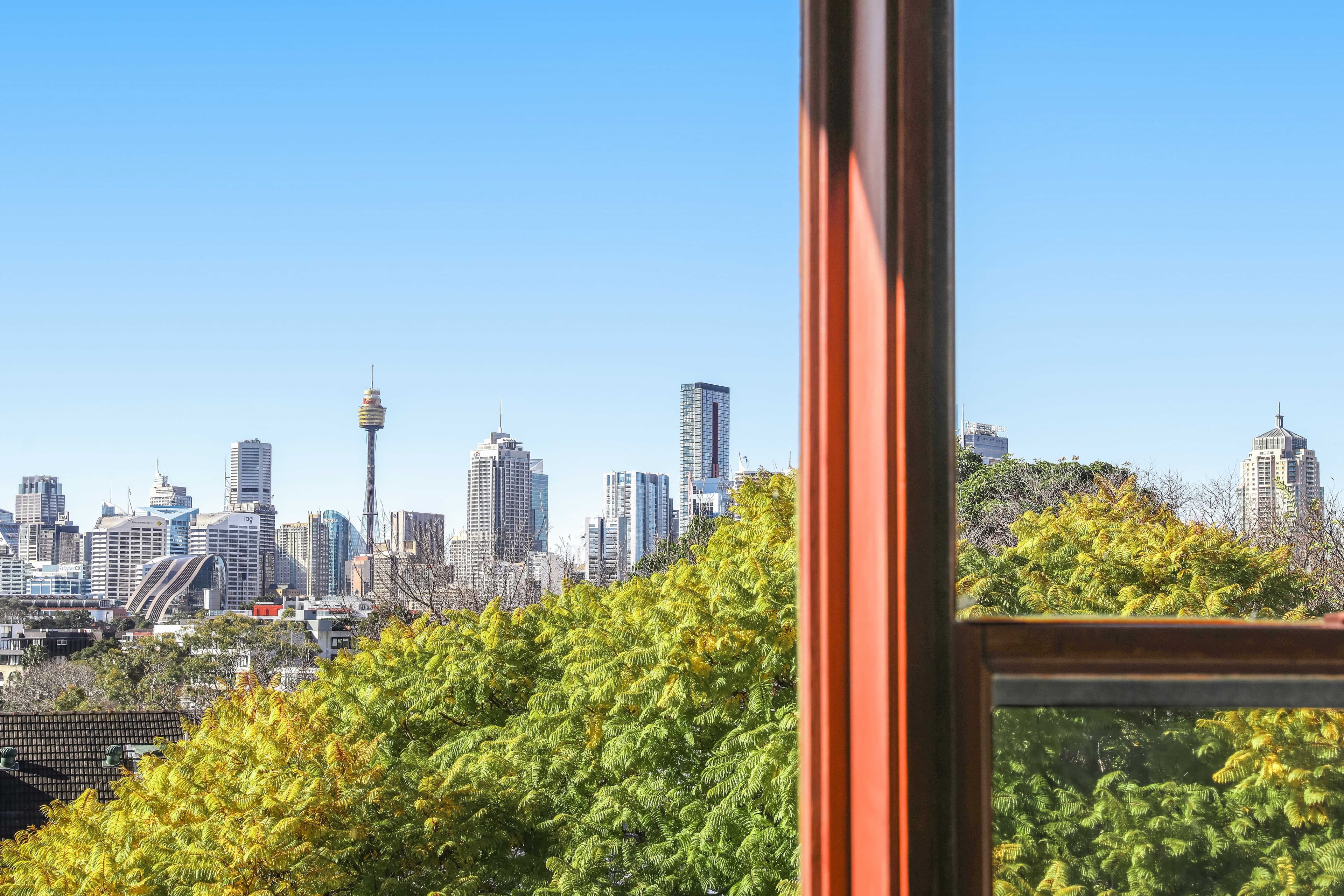 49A Derwent Street, Glebe NSW 2037, Glebe - Thumbnail 6