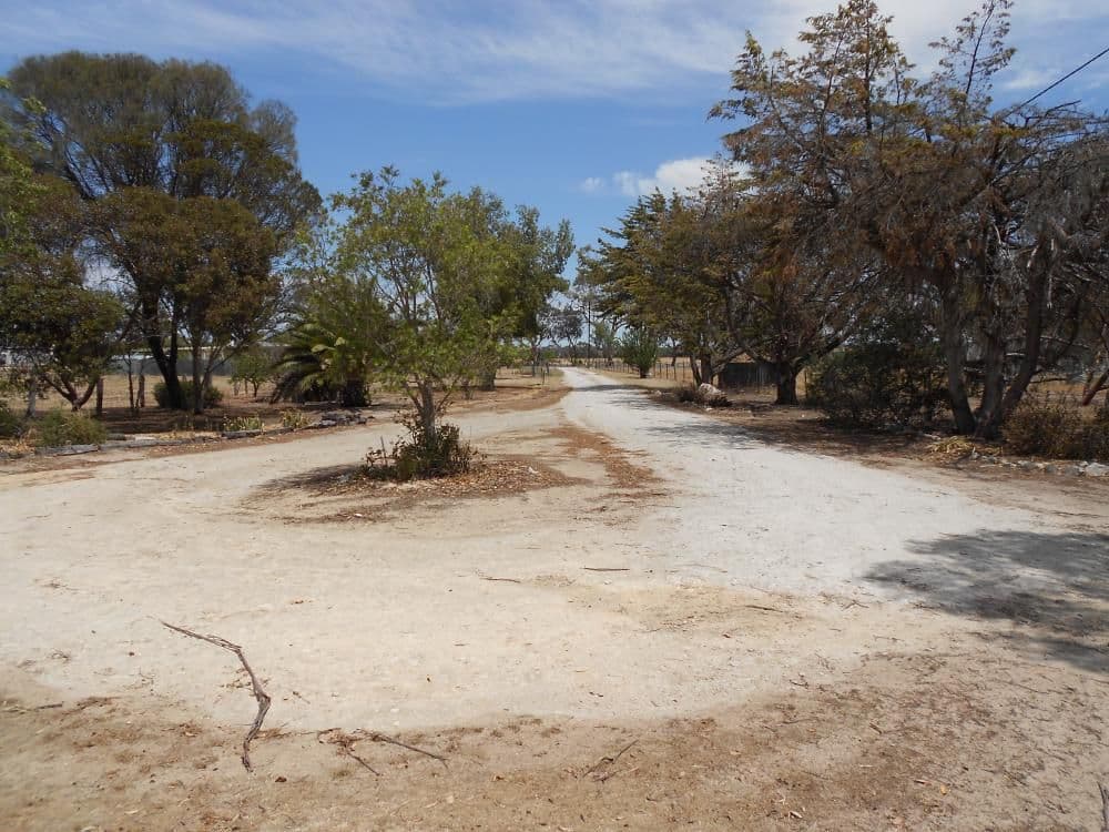 120 Cannawigara Road, Bordertown SA 5268, Bordertown - Thumbnail 5