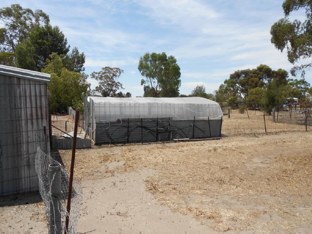 120 Cannawigara Road, Bordertown SA 5268, Bordertown - Thumbnail 8