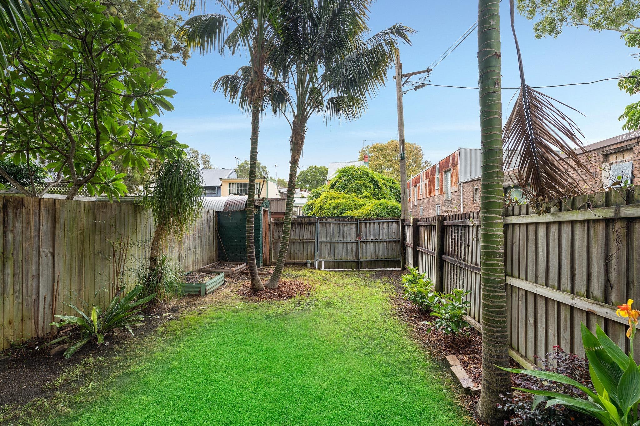18 Calder Road, Darlington NSW 2008, Darlington - Thumbnail 7