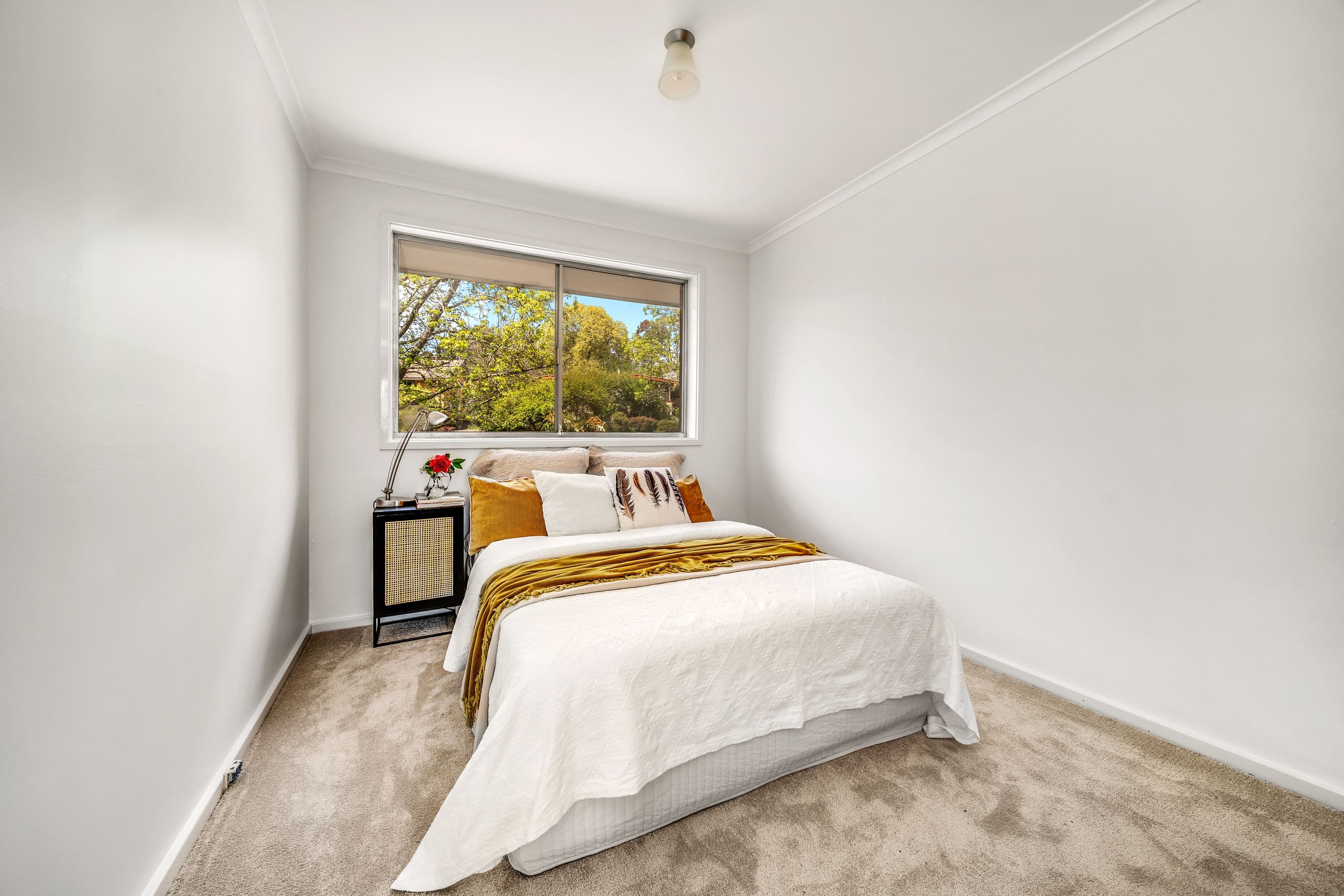 6 Quamby Place, Lyons ACT 2606, Lyons - Thumbnail 8