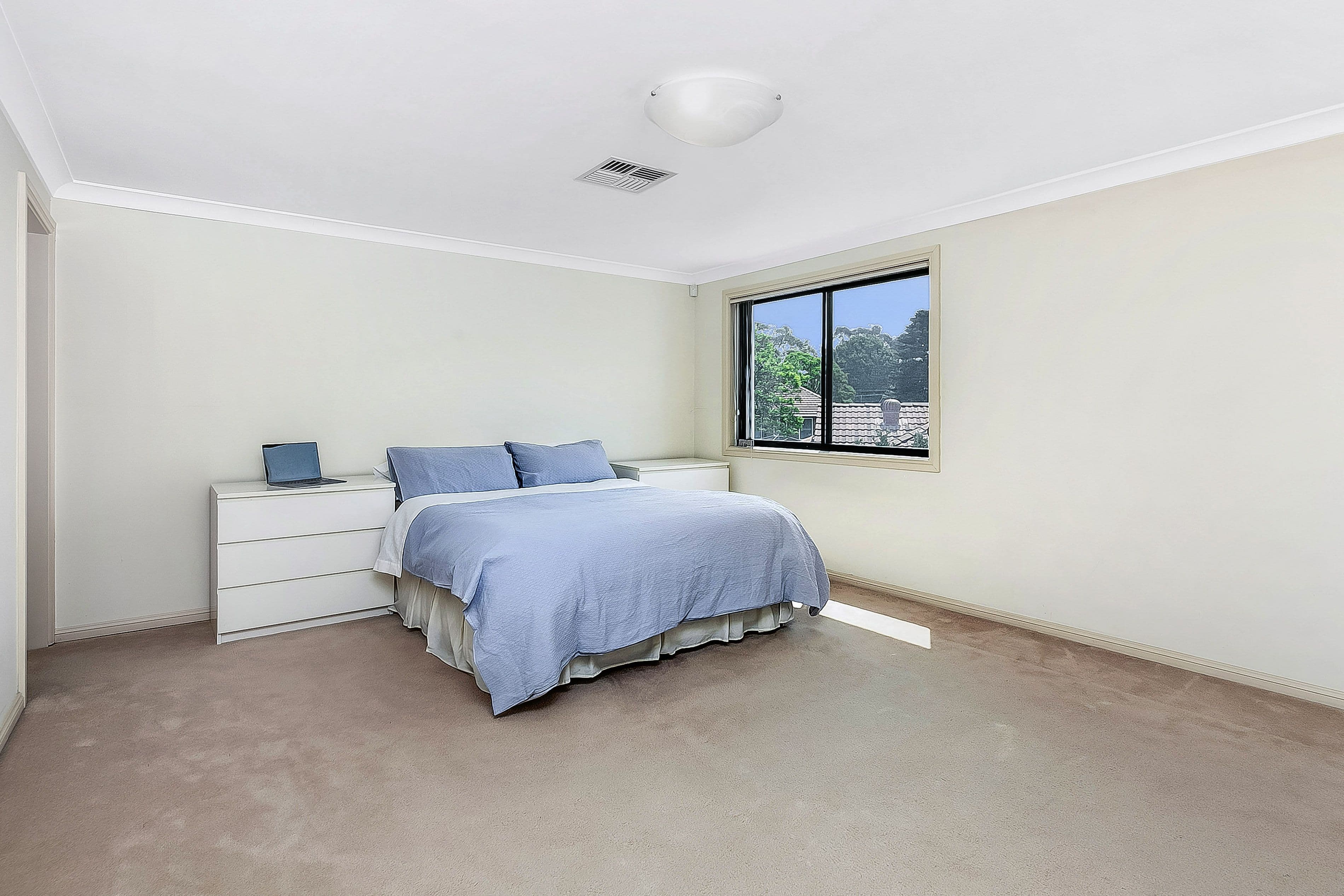 33 Hardy Avenue, Riverwood NSW 2210, Riverwood - Thumbnail 3