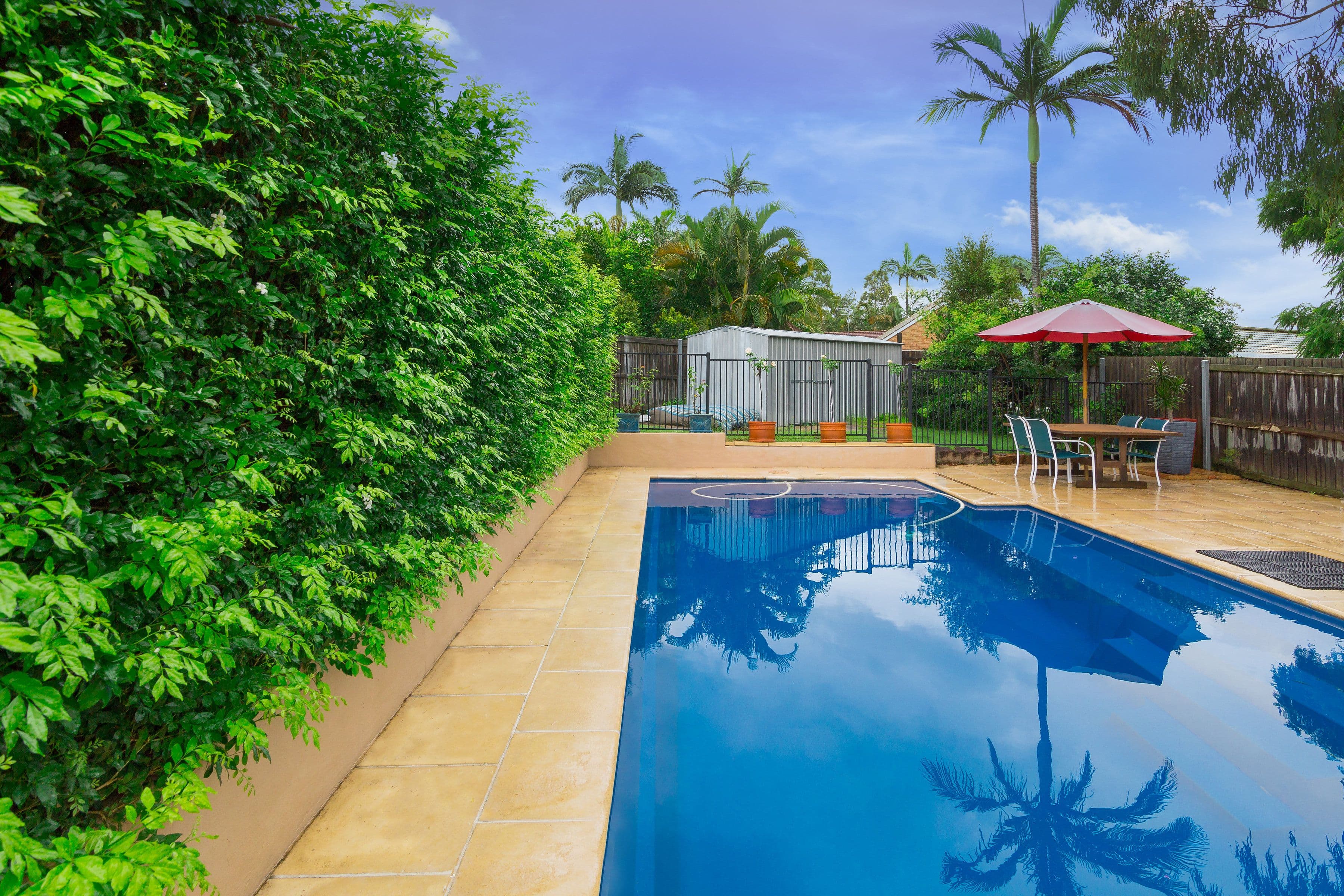 19 Amelia Court, Camira QLD 4300, Camira - Thumbnail 4