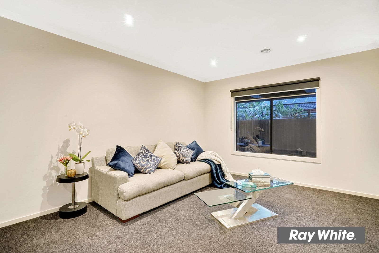12 Kalimna Street, Bentleigh East - Thumbnail 5