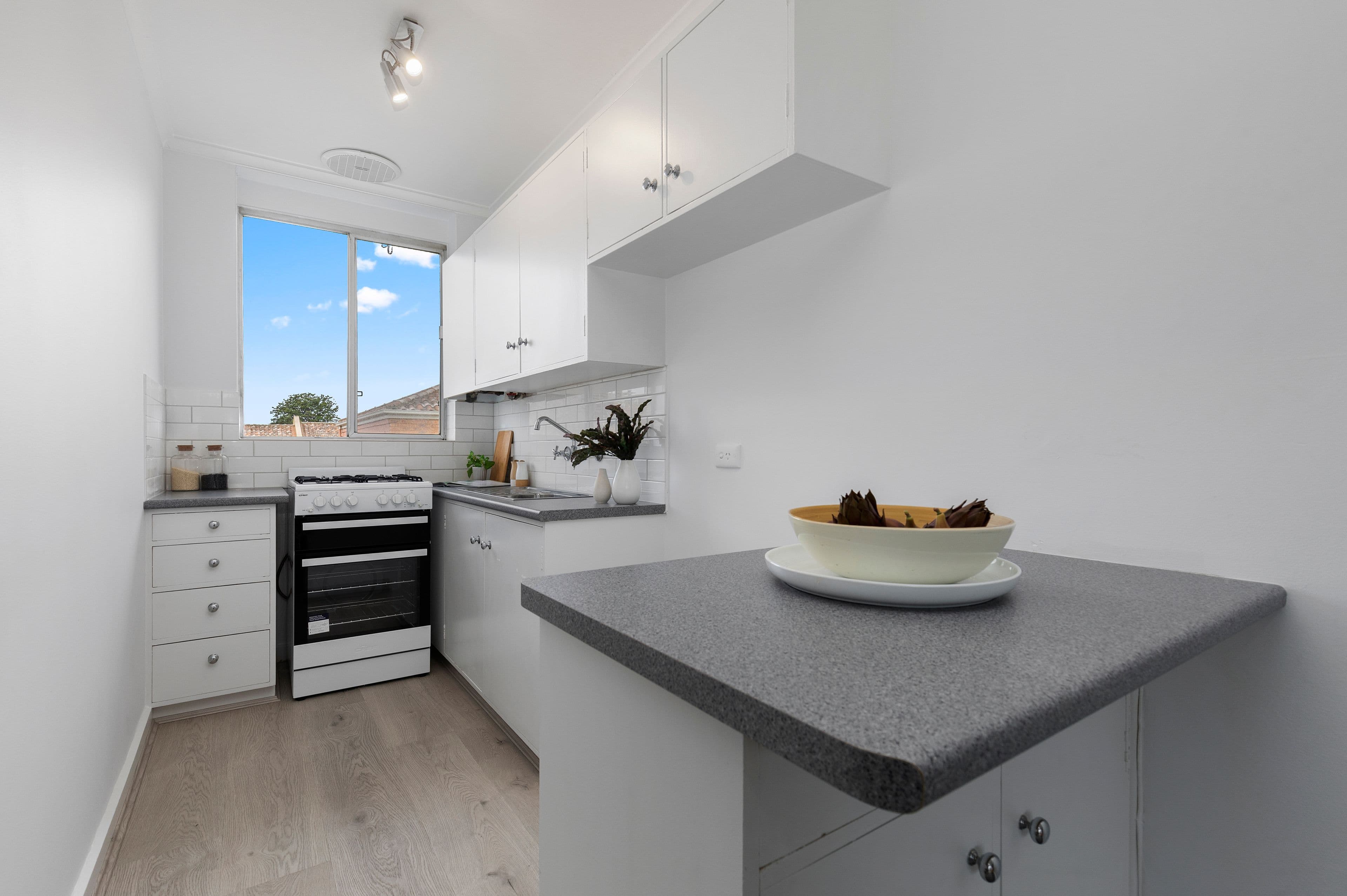 117 Park Road, Cheltenham VIC 3192, Cheltenham - Thumbnail 3
