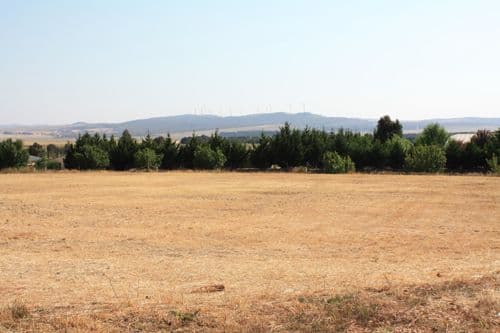 2 Duncan Avenue, BUNGENDORE NSW 2621, Bungendore - Thumbnail 2