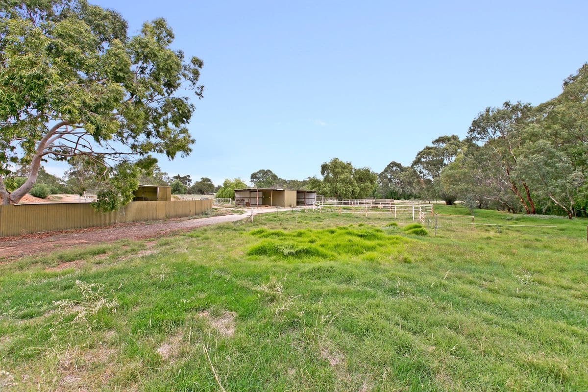 5 Penrith Avenue, GAWLER SA 5118, Gawler West - Thumbnail 3
