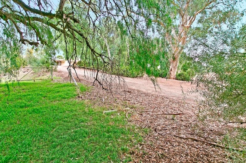 5 Penrith Avenue, GAWLER SA 5118, Gawler West - Thumbnail 4
