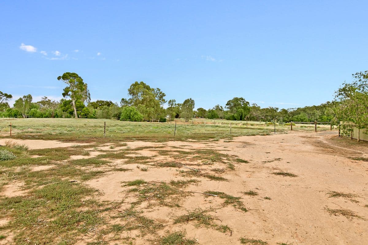 5 Penrith Avenue, GAWLER SA 5118, Gawler West - Thumbnail 5