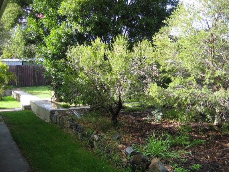 167 Blackadder Road, SWAN VIEW WA 6056, Swan View - Thumbnail 2