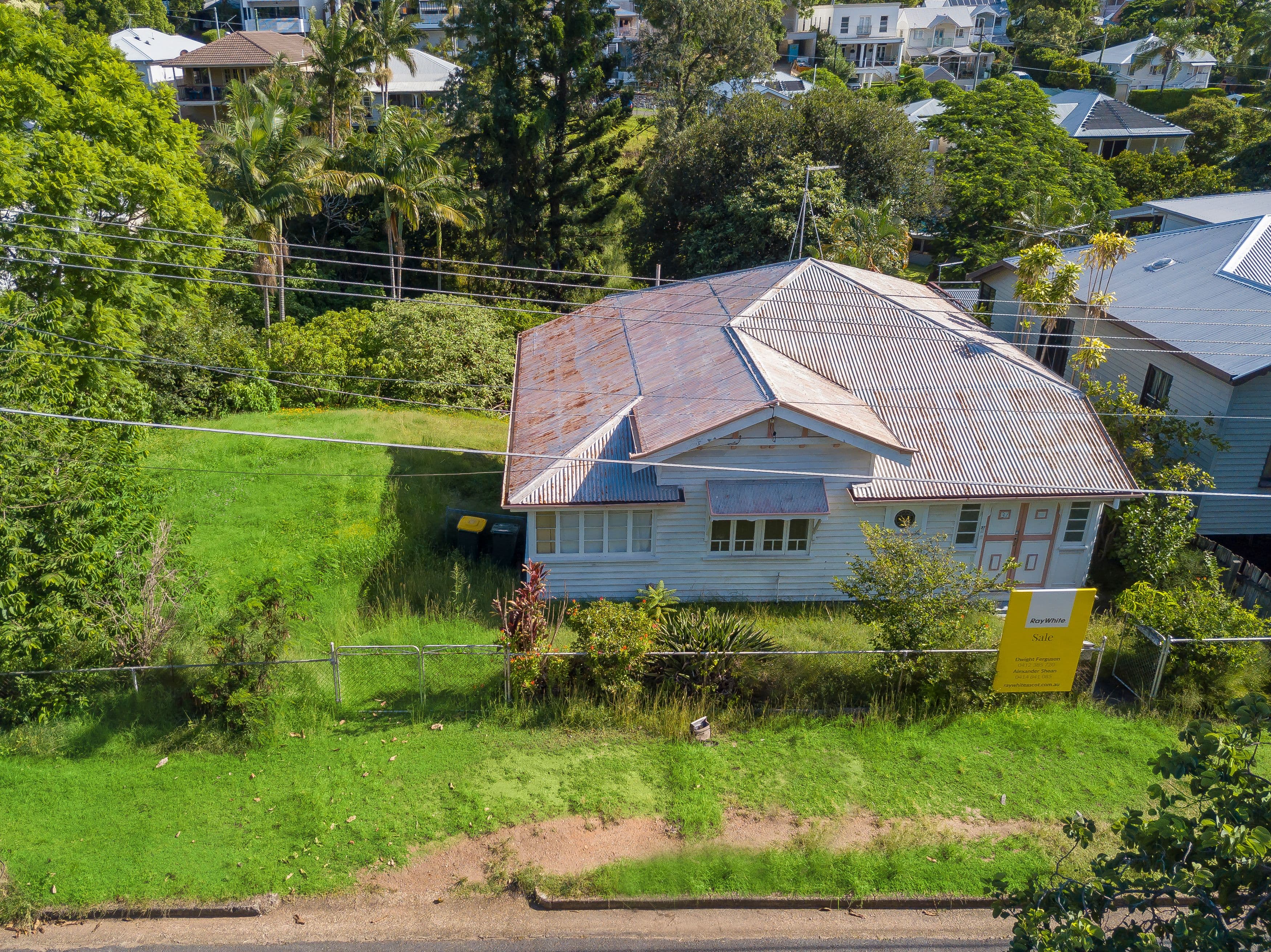 37 Pine Street, Hamilton QLD 4007, Hamilton - Thumbnail 2