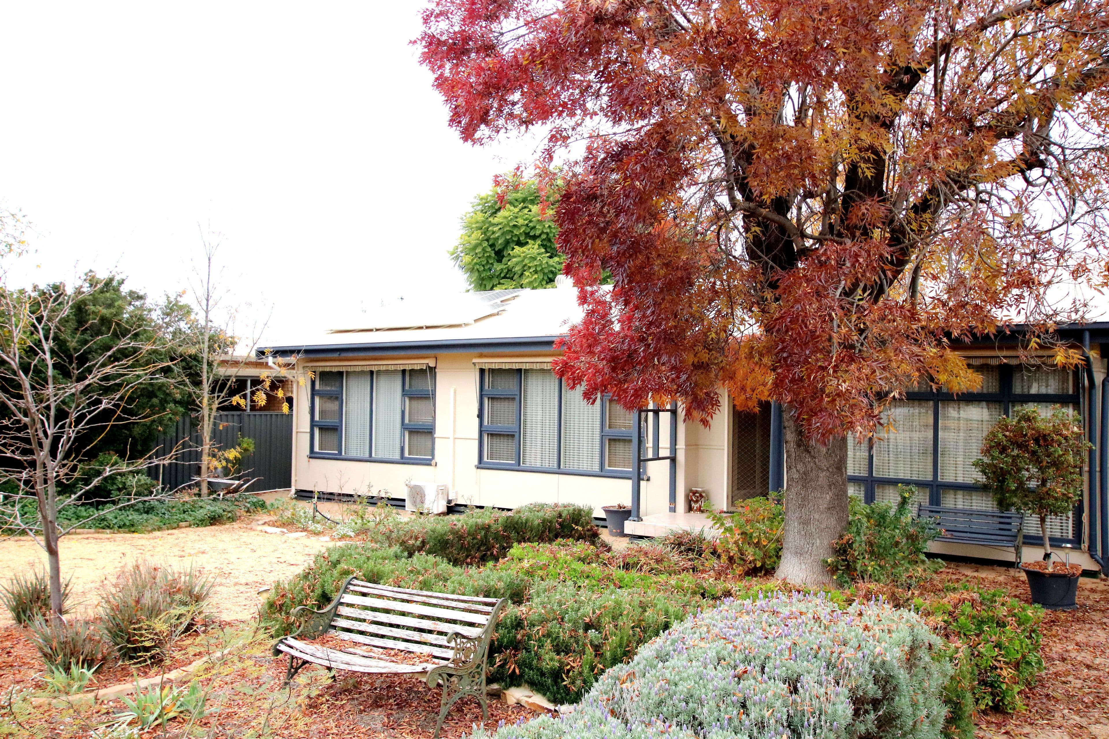 21 Second Street, Loxton SA 5333, Loxton - Image 1
