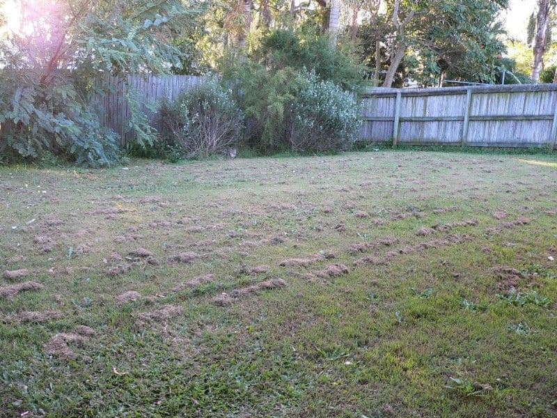1/33 Baldwin Crescent, Pimpama, QLD, 4209, Pimpama - Thumbnail 3