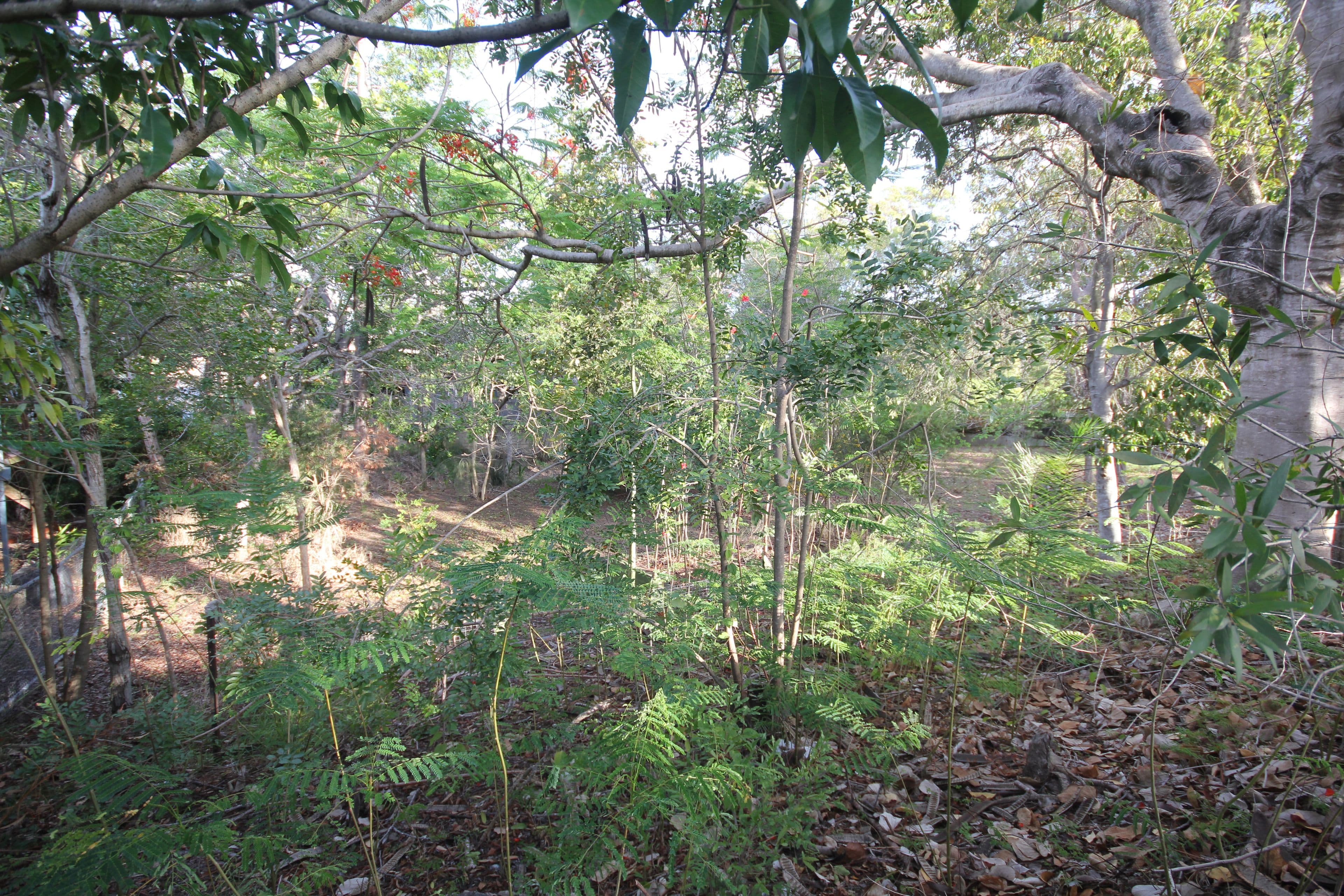 Lot 2 Dunkirk Street, Svensson Heights QLD 4670, Svensson Heights - Thumbnail 5