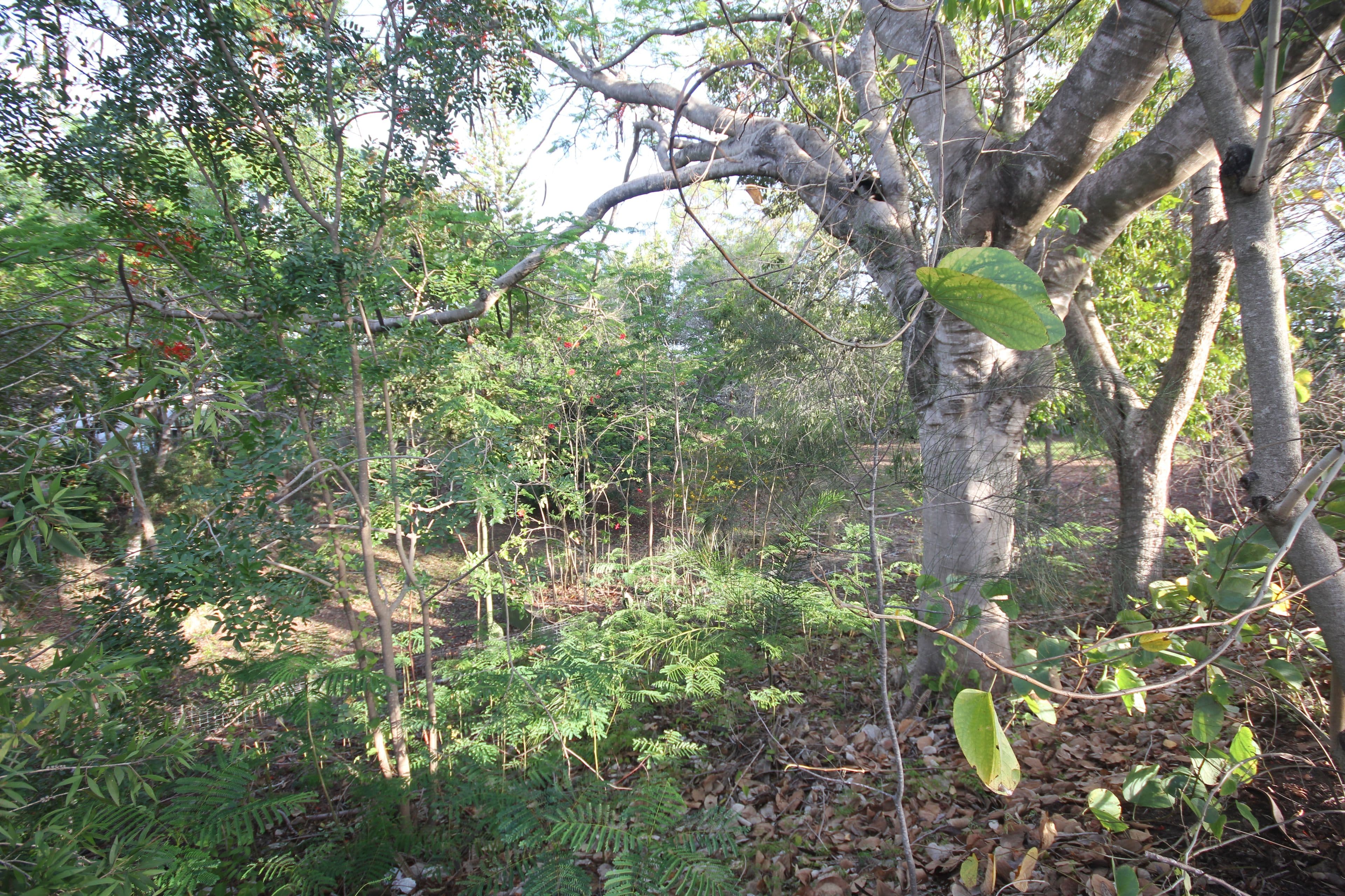 Lot 2 Dunkirk Street, Svensson Heights QLD 4670, Svensson Heights - Thumbnail 6