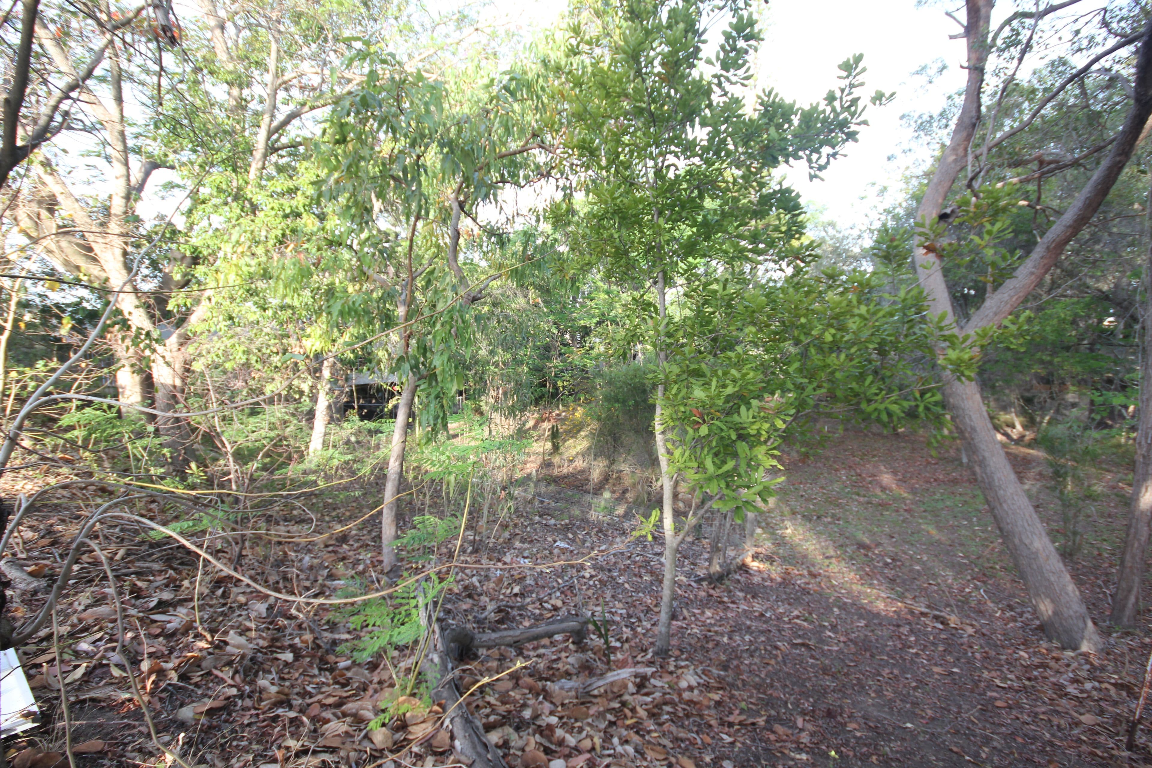 Lot 2 Dunkirk Street, Svensson Heights QLD 4670, Svensson Heights - Thumbnail 7