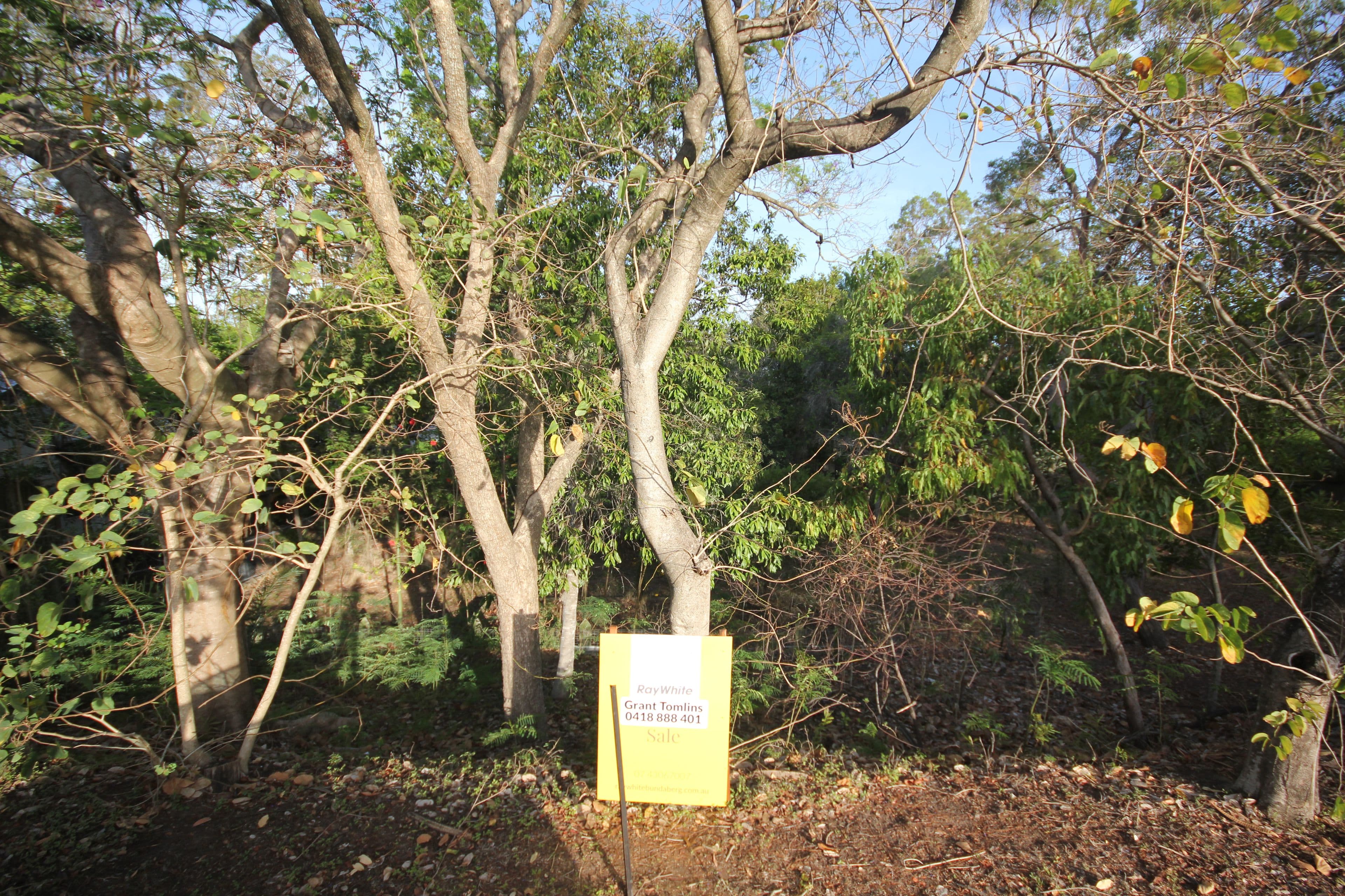 Lot 2 Dunkirk Street, Svensson Heights QLD 4670, Svensson Heights - Thumbnail 8