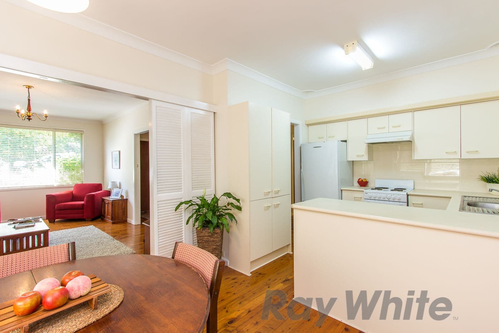 88 Princeton Avenue, Adamstown Heights - Thumbnail 2