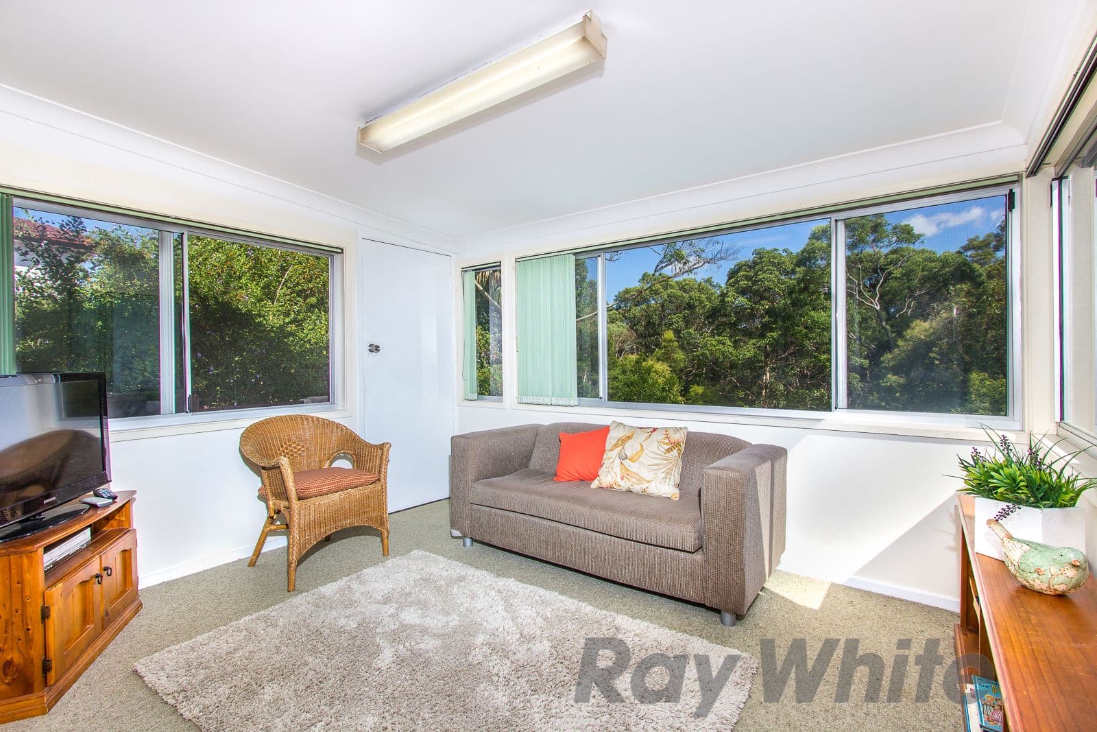 88 Princeton Avenue, Adamstown Heights - Thumbnail 5