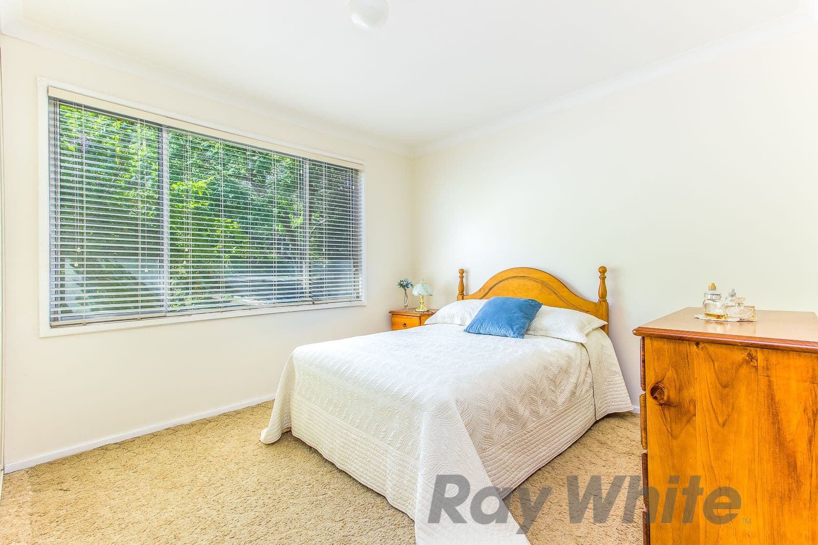 88 Princeton Avenue, Adamstown Heights - Thumbnail 6