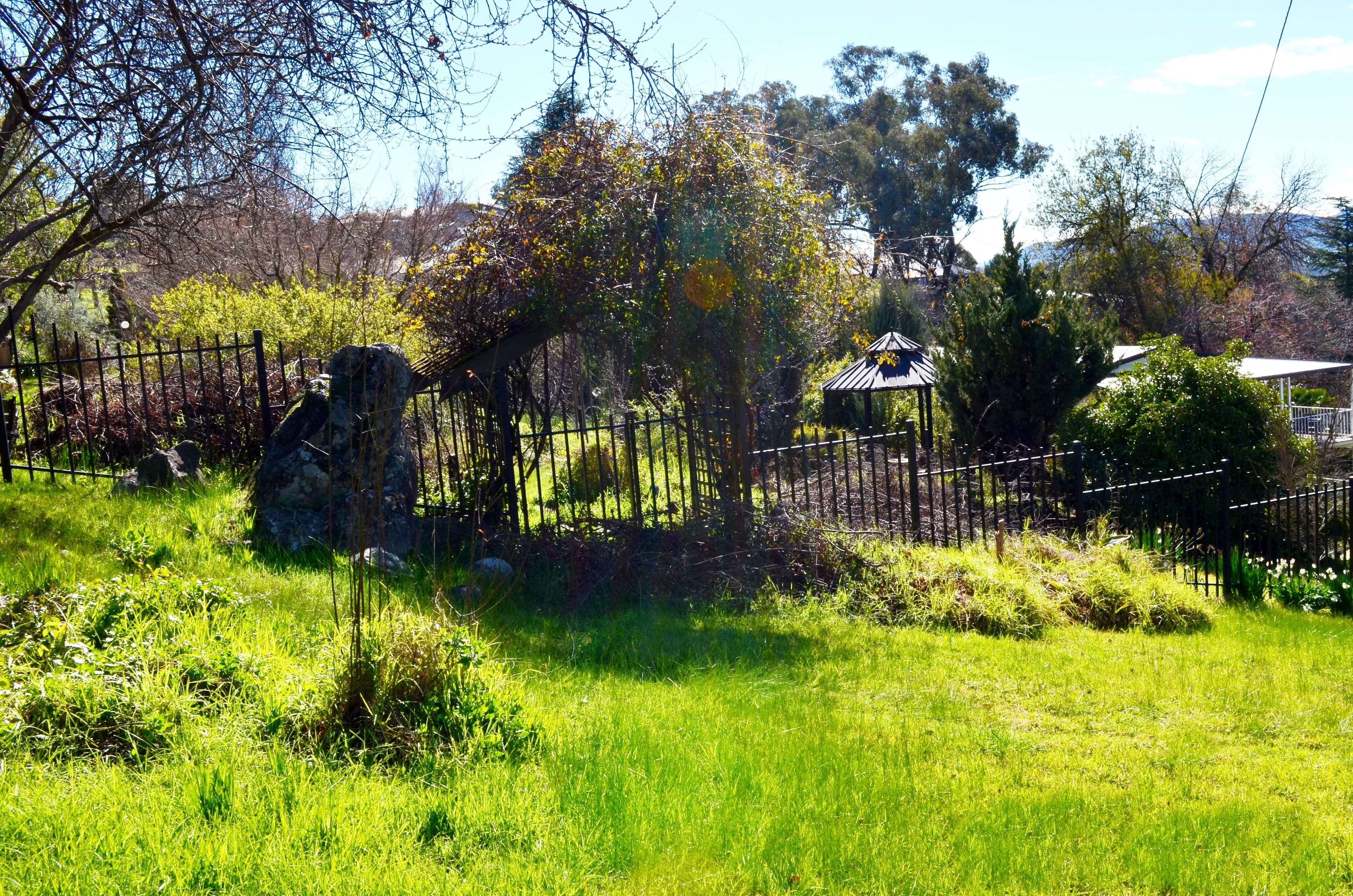 107 Merivale Street, Tumut NSW 2720, Tumut - Thumbnail 3